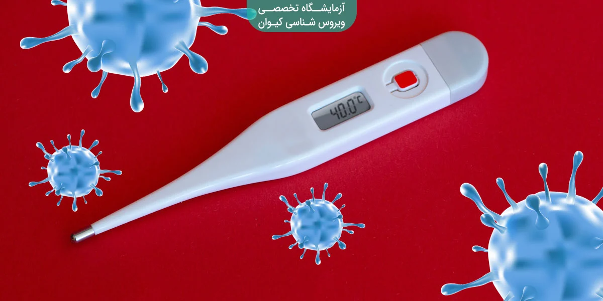 تب کرونا