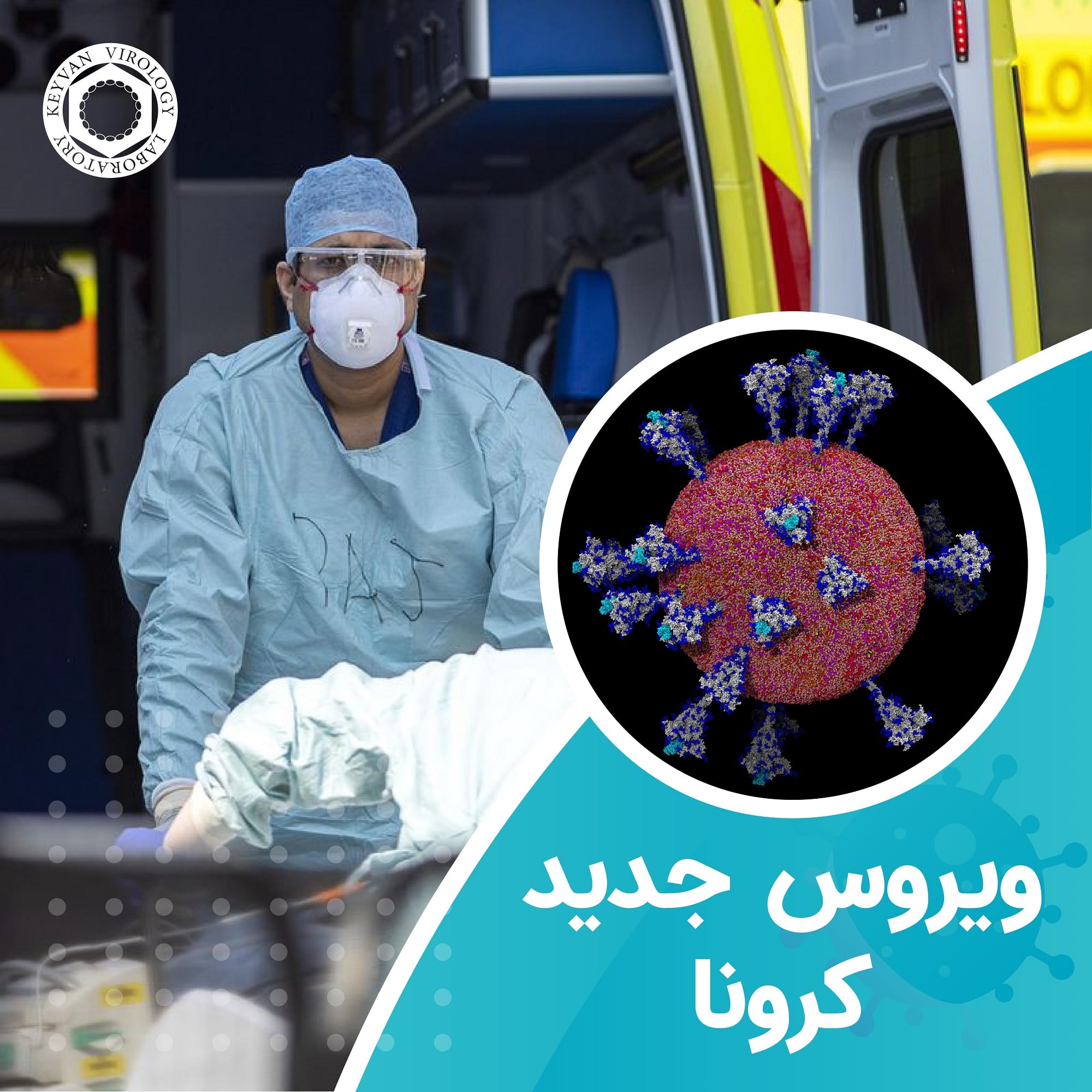 ویروس جدید کرونا