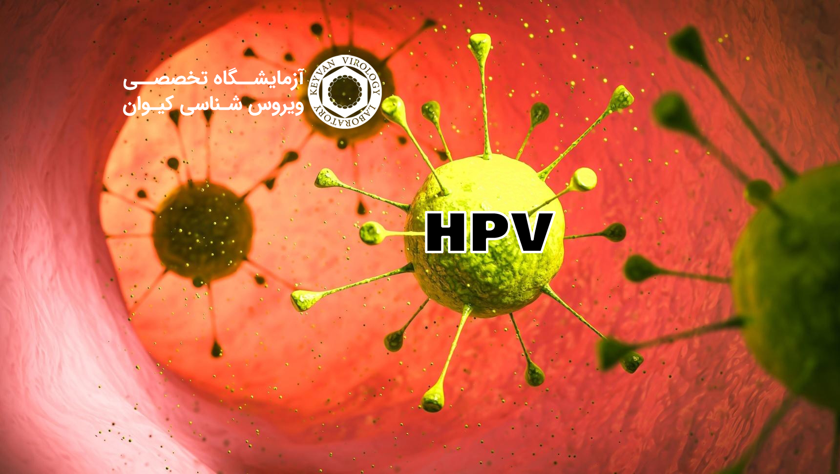 ویروس HPV