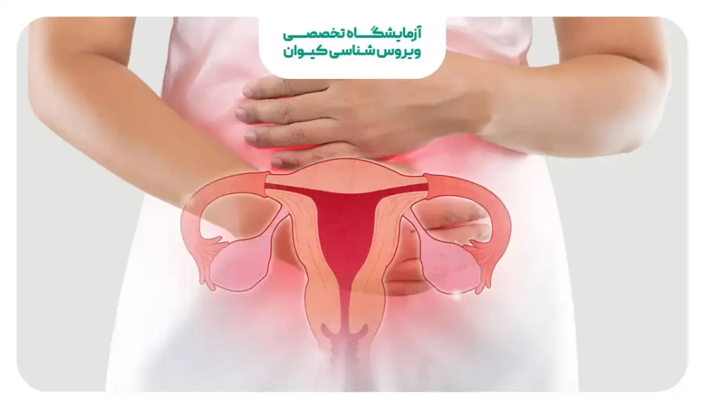 سرطان دهانه رحم و زگیل تناسلی