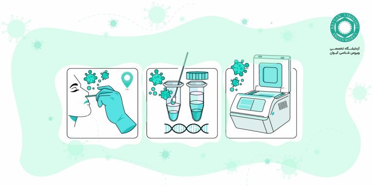 تست PCR؛ انواع، روش و تشخیص | مجله سلامت کیوان