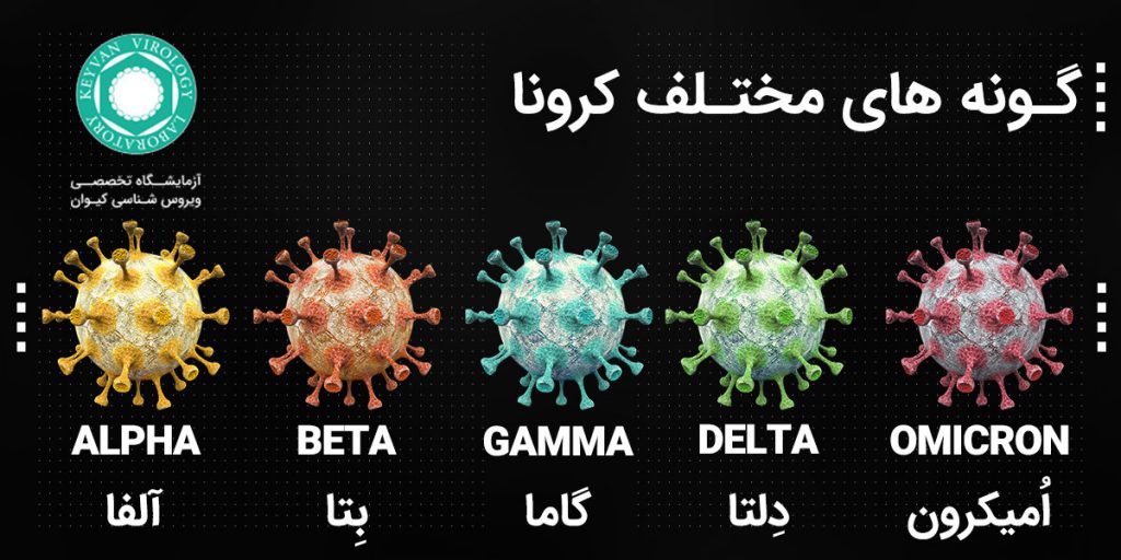 گونه های مختلف ویروس کرونا