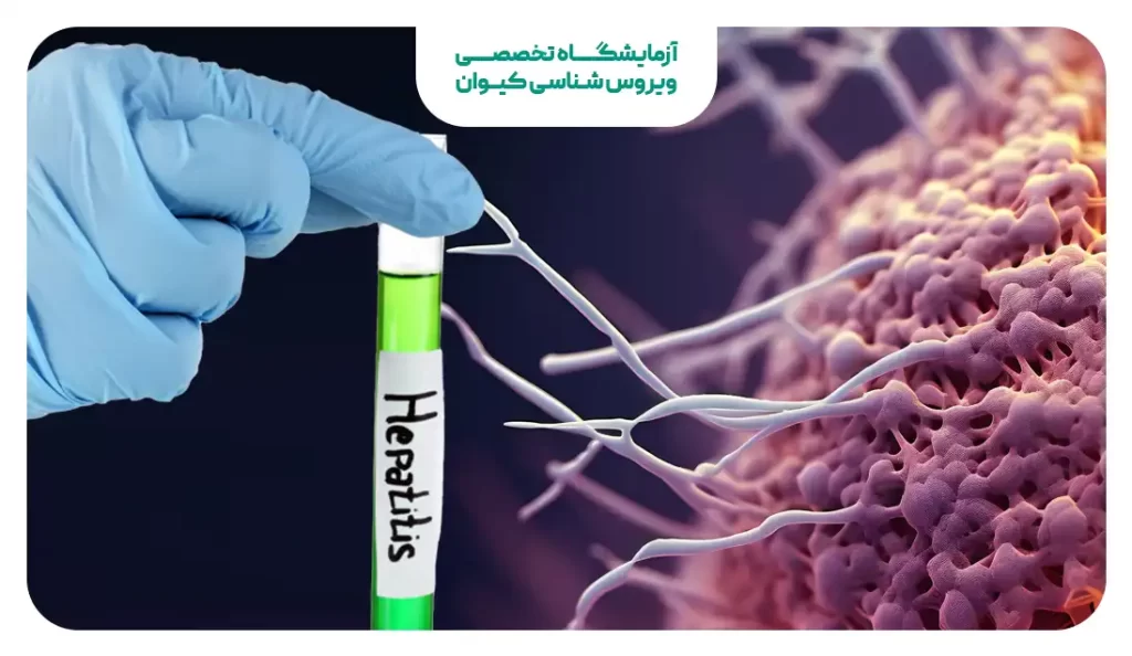 تشخیص انواع هپاتیت