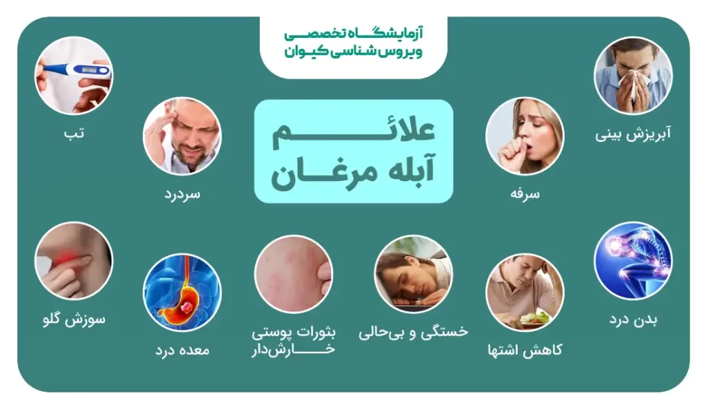 علائم آبله مرغان