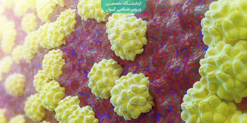 بیماری کلامیدیا