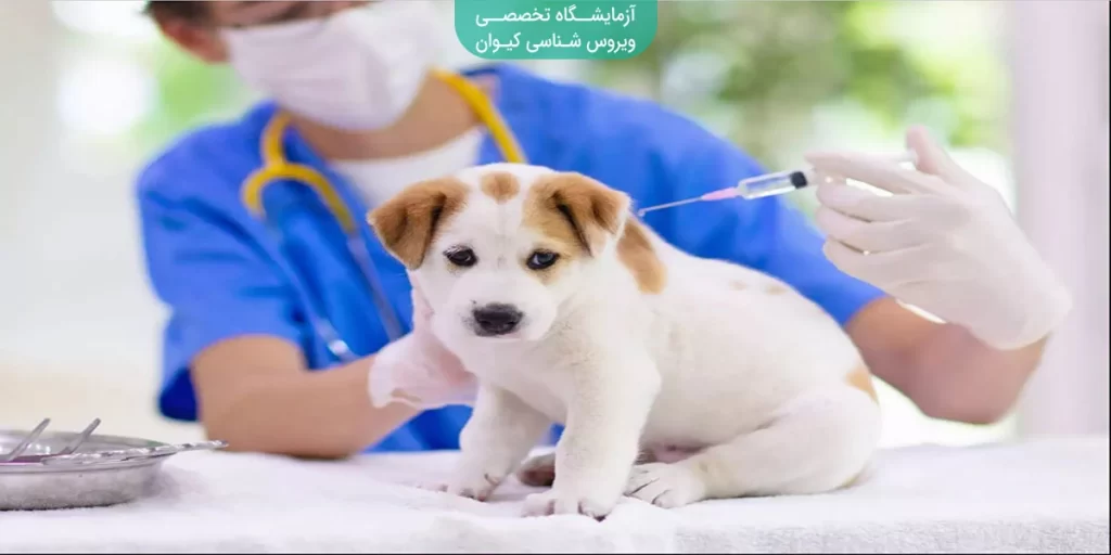 واکسن هاری