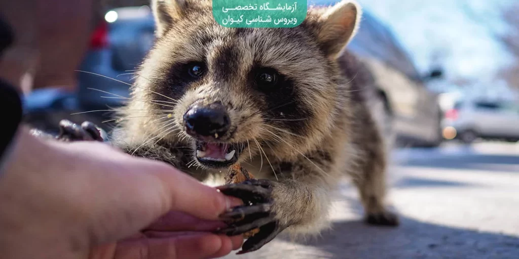 عامل بیماری هاری