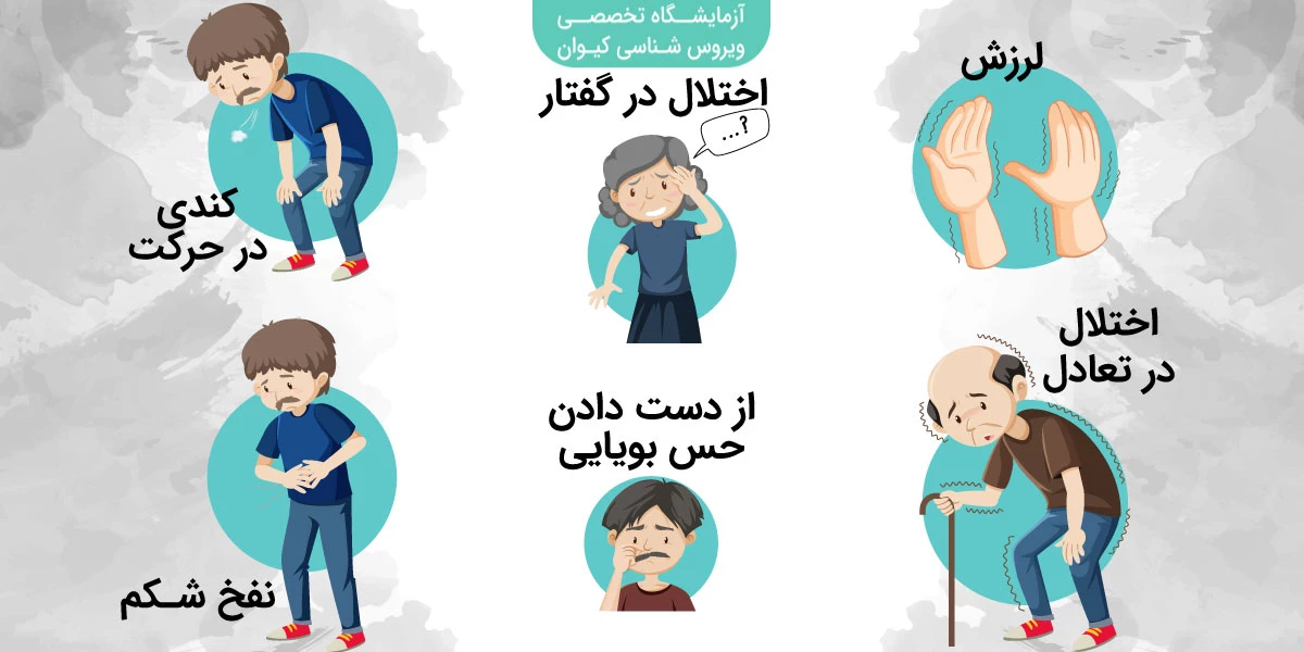 بیماری مننژیت