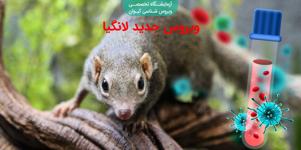 ویروس لانگیا
