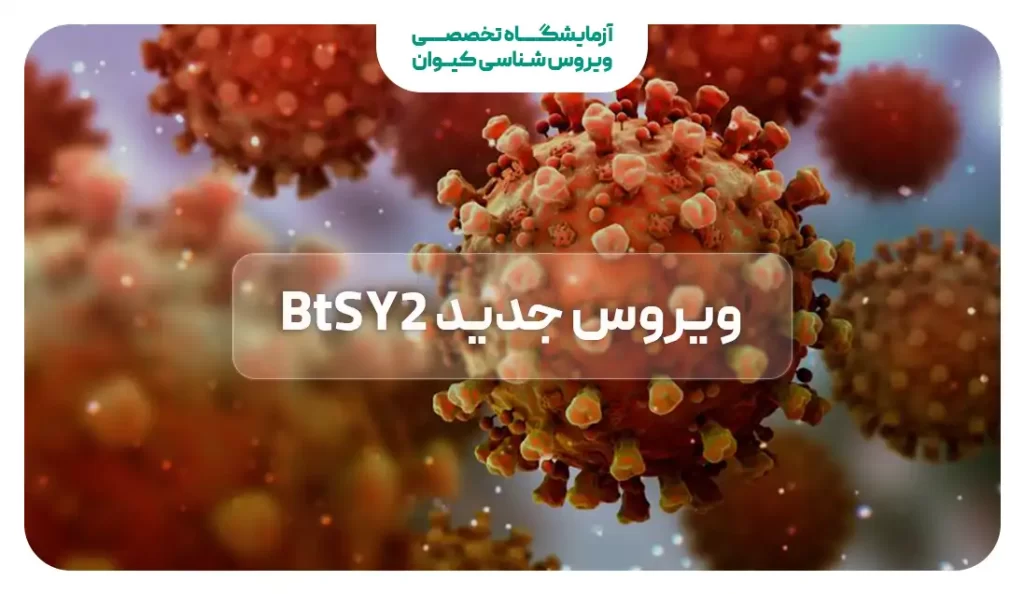 ویروس جدید BtSY2