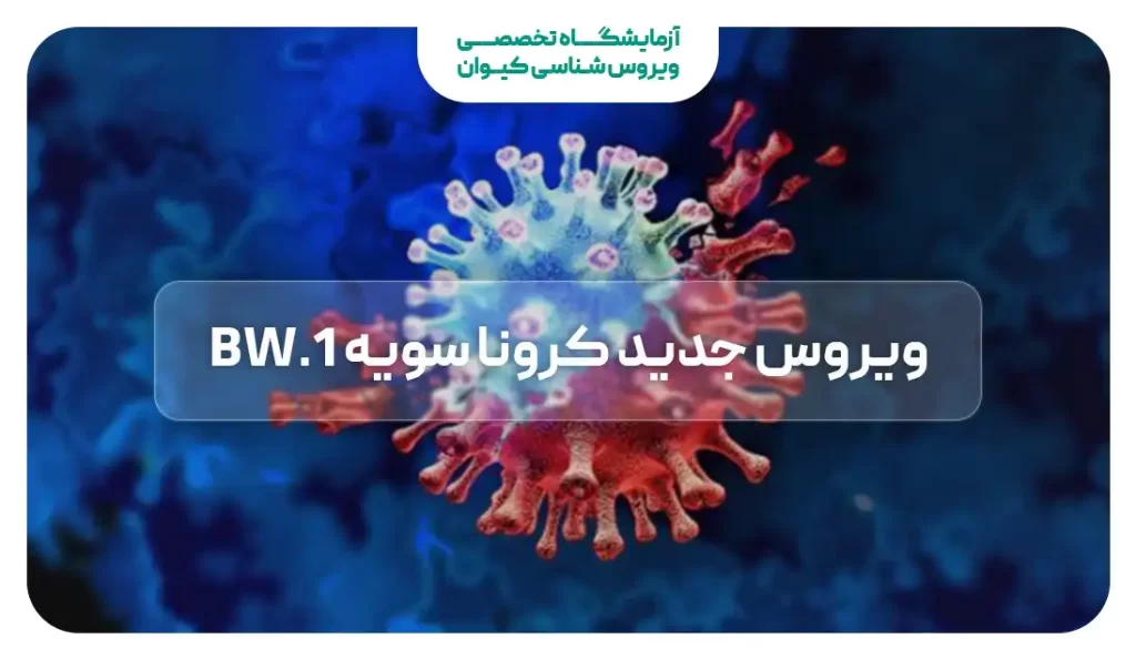 ویروس جدید کرونا سویه BW.1