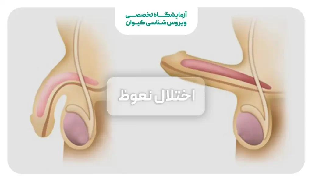 عوارض خودارضایی در بدنسازی + عقب افتادن پریود تا چند روز طبیعی است