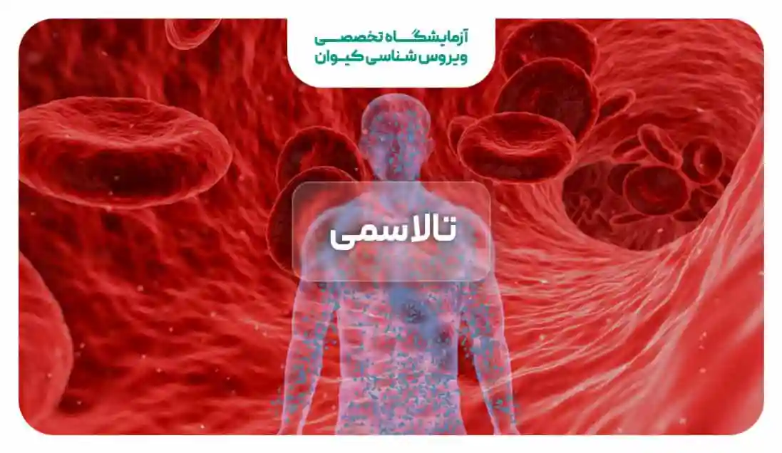 تالاسمی چیست؟