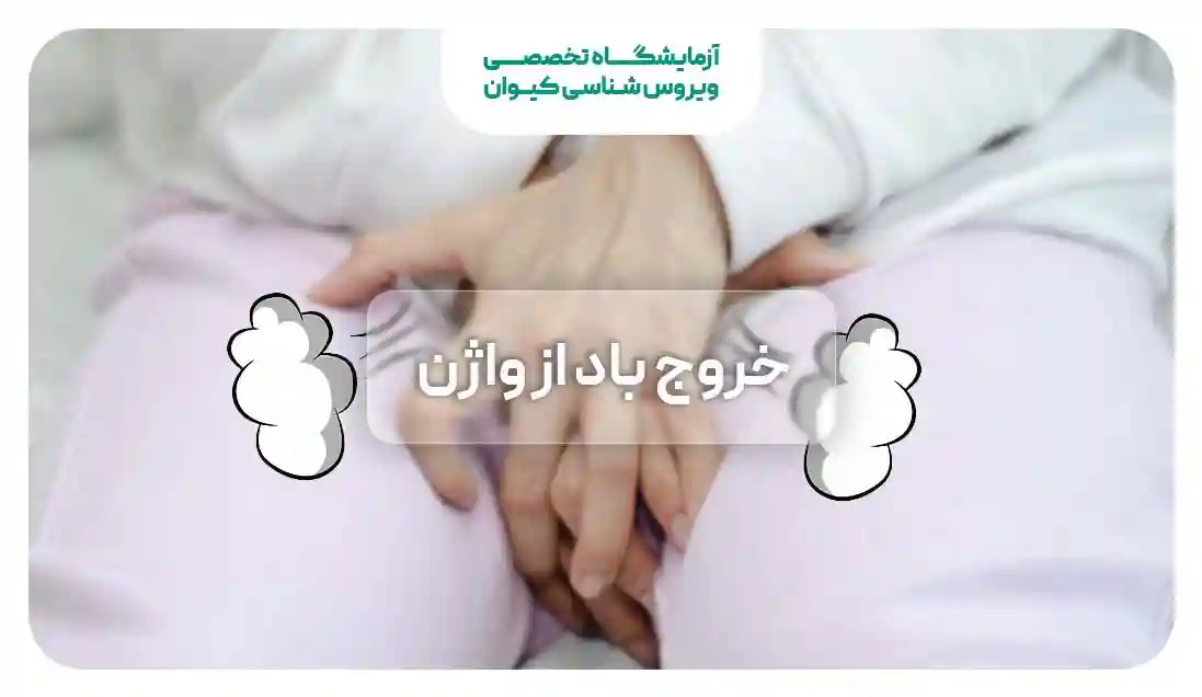 خروج باد از واژن