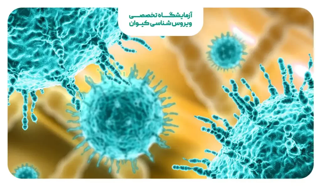 ویروس جدید