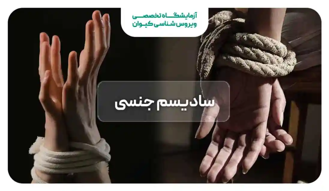 سادیسم جنسی