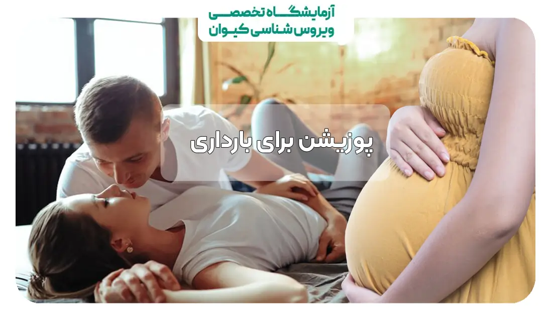 بهترین پوزیشن برای بارداری