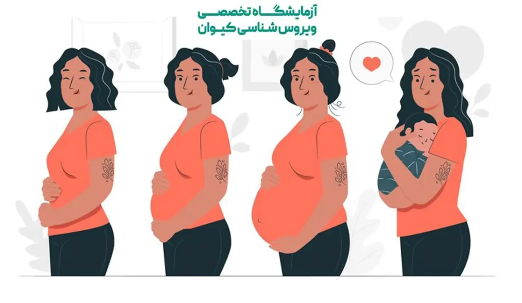برنامه ریزی و اقدامات پیش از بارداری