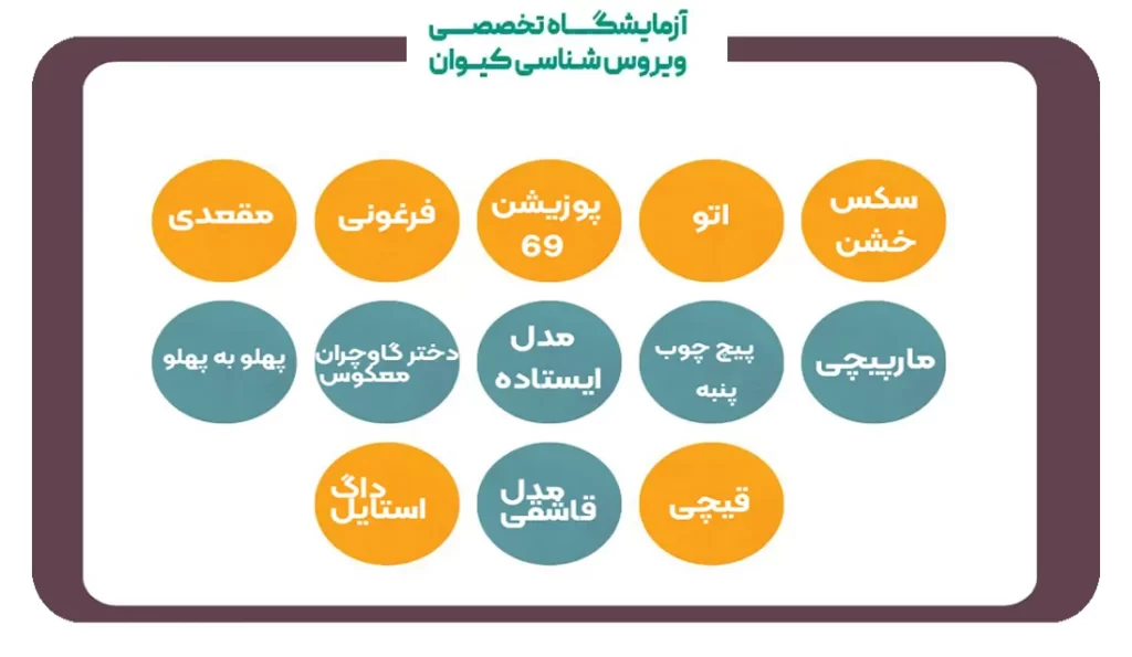 انواع پوزیشن های سکسی