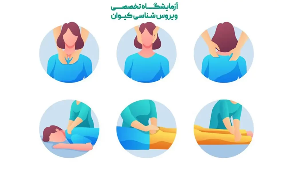 فیزیوتراپی برای گردن درد