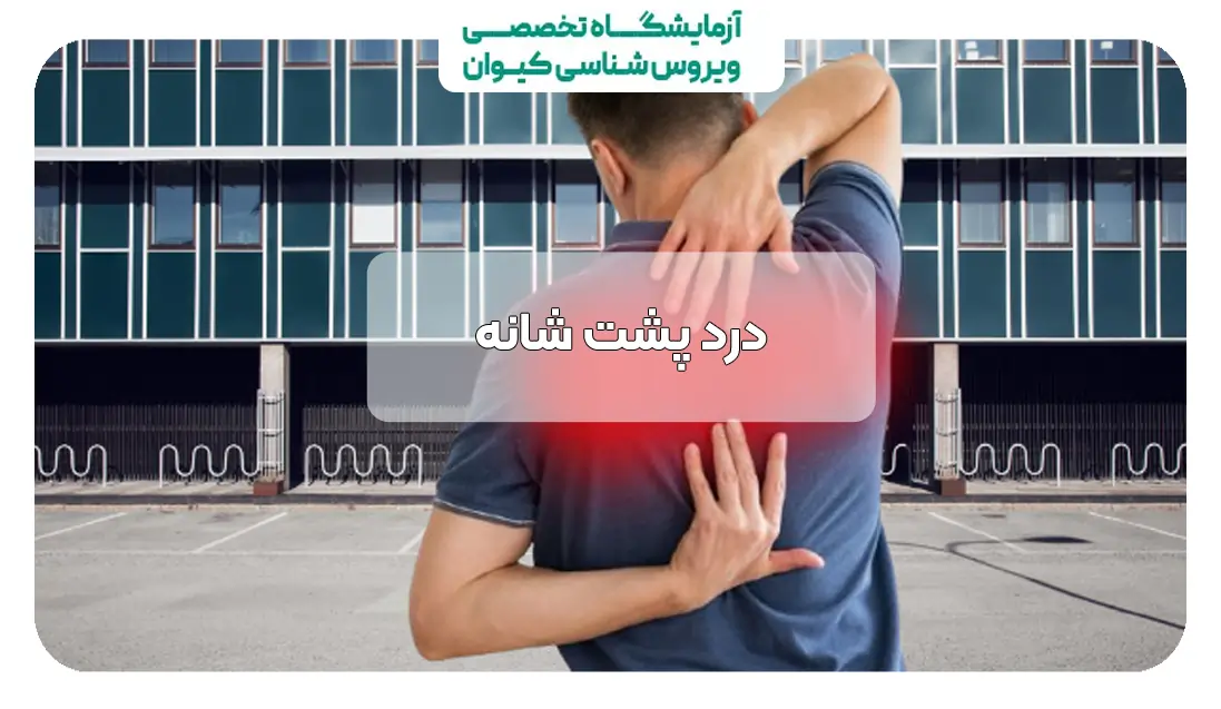 درد پشت شانه