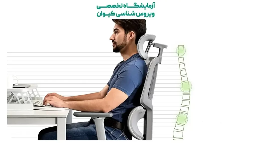 پیشگیری از درد وسط پشت
