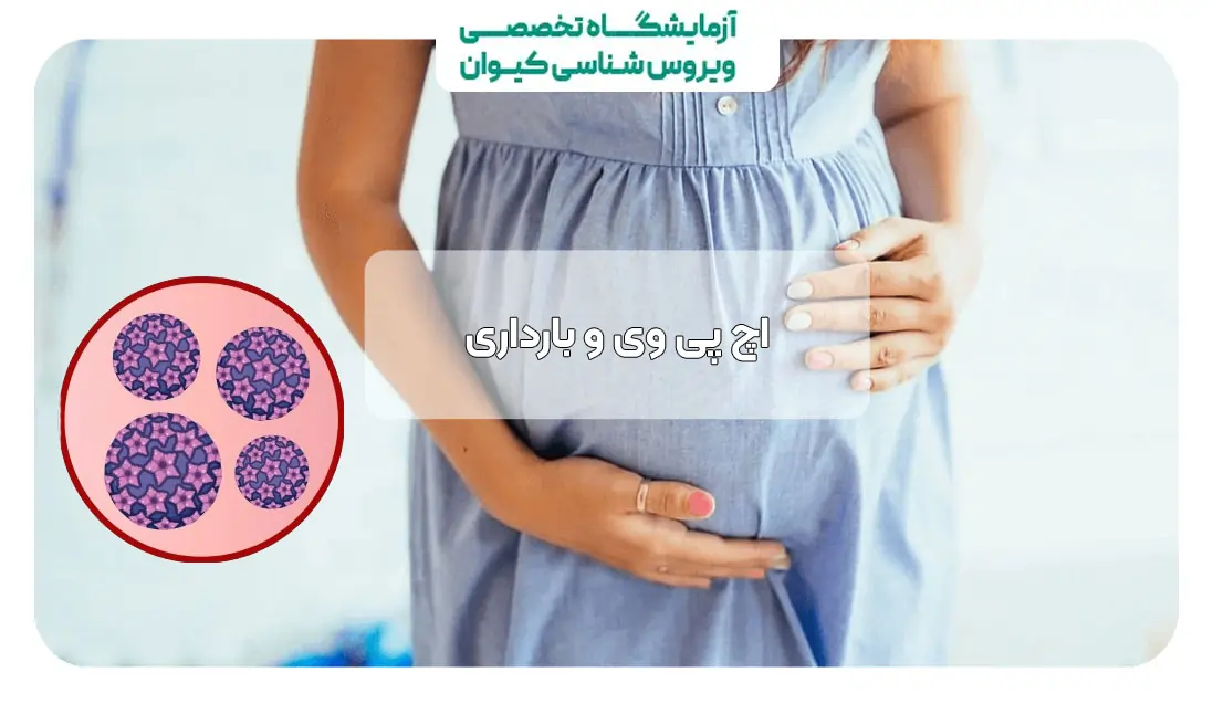 اچ پی وی و بارداری