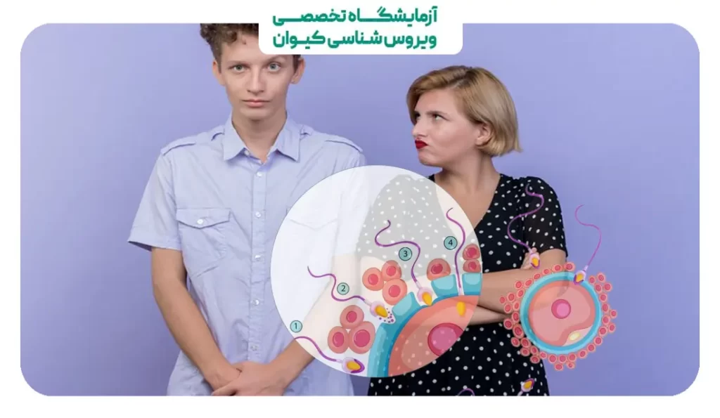 نقش HPV در کاهش کیفیت اسپرم