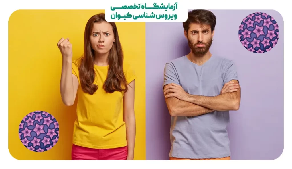 اثر اچ پی وی بر باروری
