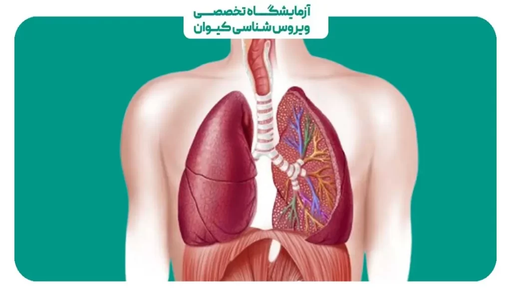 تمرینات فیزیوتراپی تنفسی